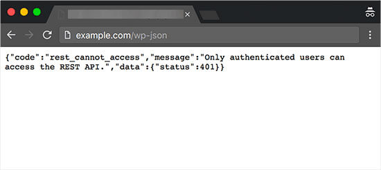 JSON REST API'sı