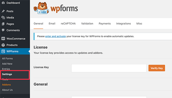 WPForms Lisans anahtarı