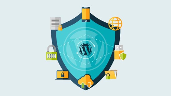 WordPress güvenlik incelemesi