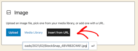 Ölçeklendirilmemiş görsel URL'si ekleyin
