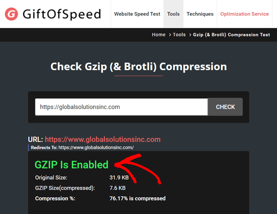 Belirtilen web sitesinde GZIP'nin etkinleştirildiğini görmek için bir GZIP test aracı kullanma